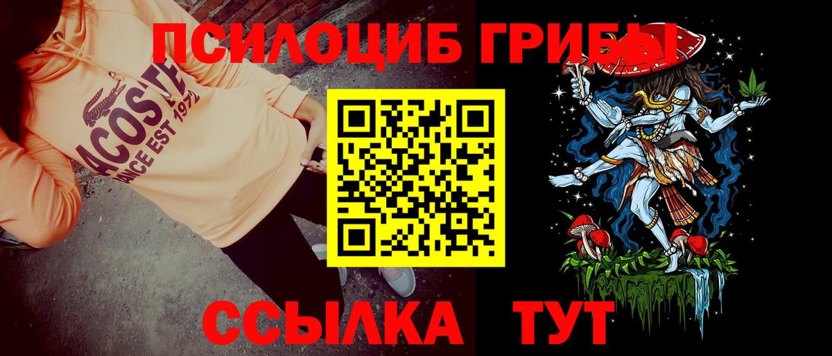 Галлюциногенные грибы Psilocybe  Вход с VPN  Узловая 