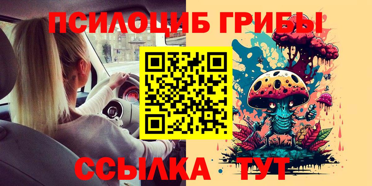 Псилоцибиновые грибы мицелий Узловая