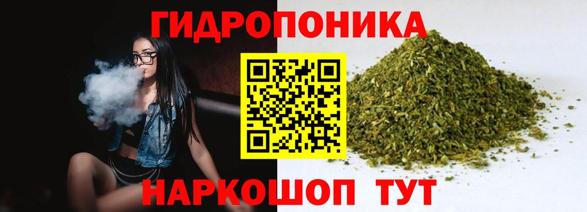 Марихуана сатива Узловая